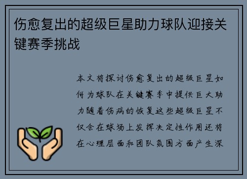 伤愈复出的超级巨星助力球队迎接关键赛季挑战